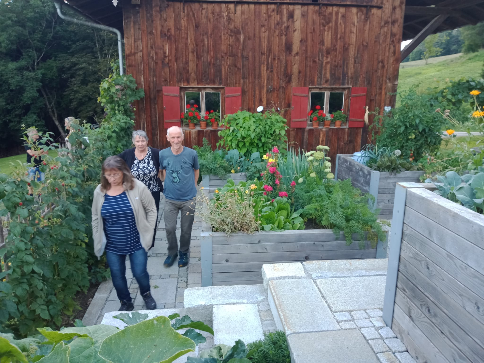 Gartenratsch